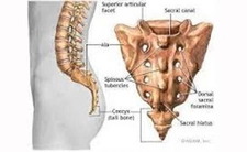 Kuyruk Sokumu Ameliyatı Riskleri ve Sonrası