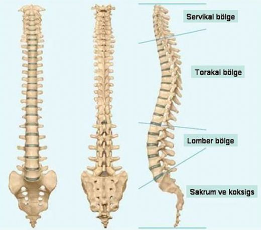 Kuyruk Sokumu Çatlağı